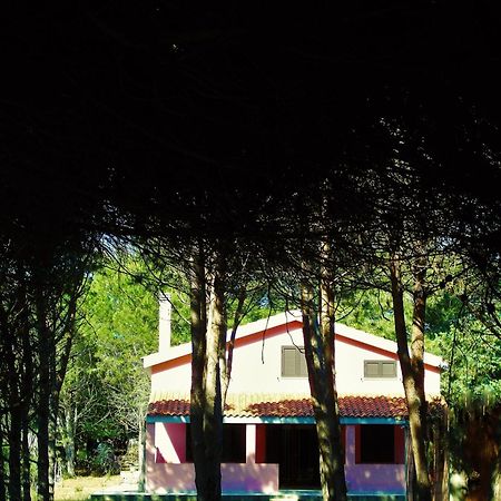 Pineta Spiaggia Grande Calasetta Buitenkant foto